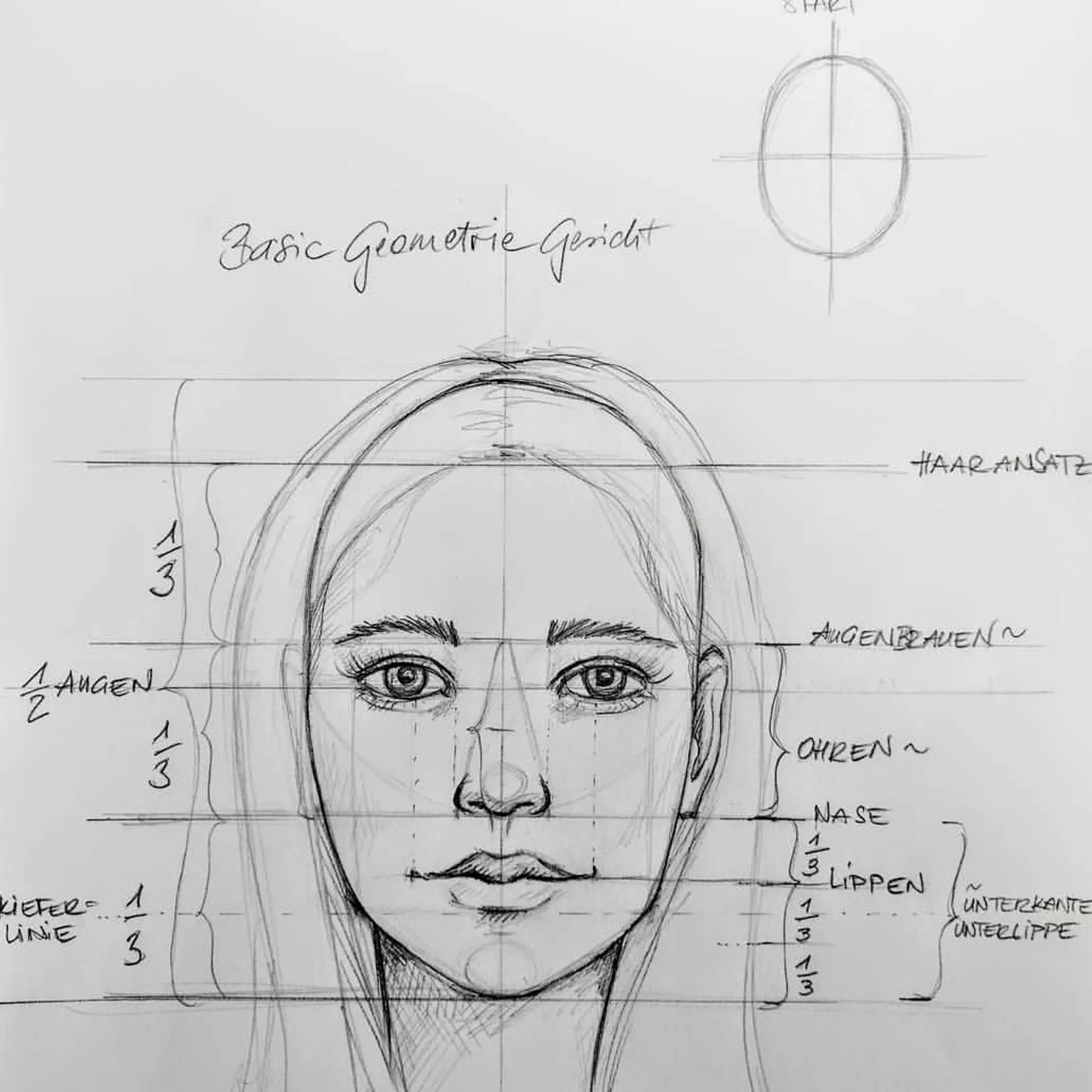 sketch of face proportions and measurements