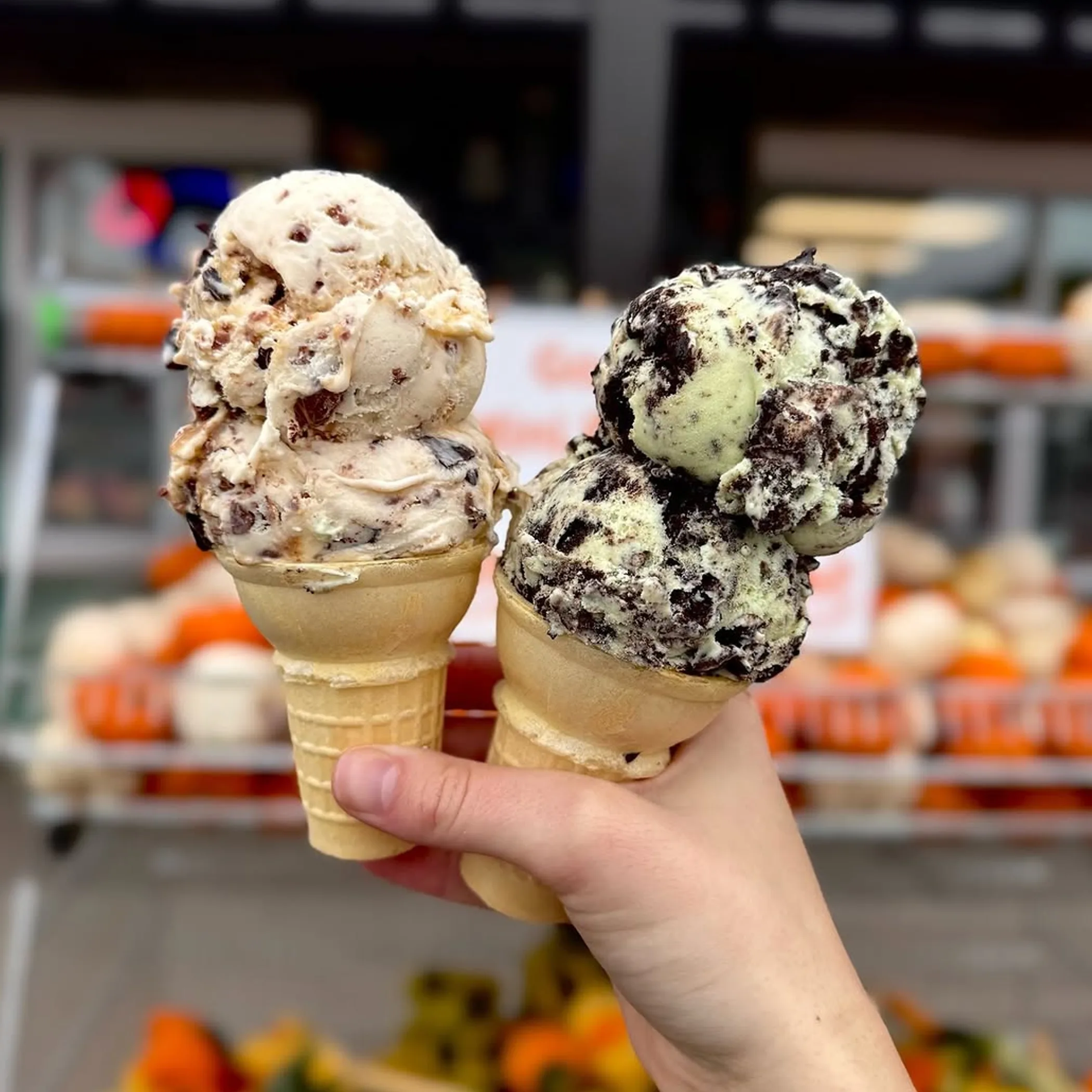 assorted frozen desserts