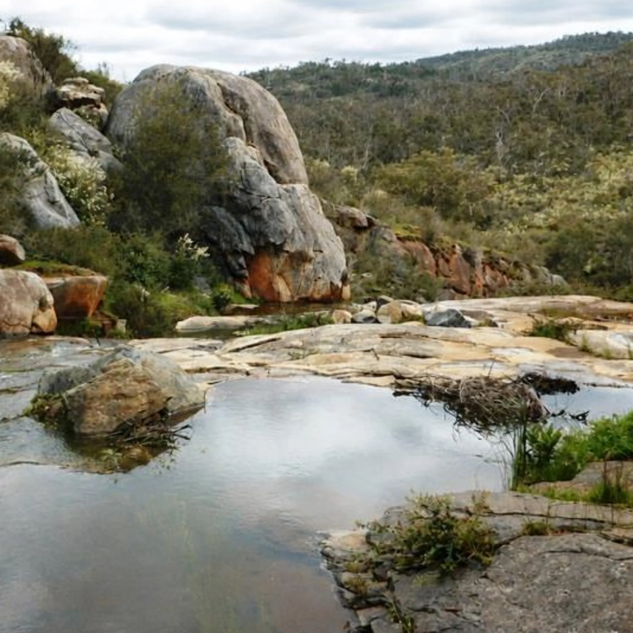 rugged terrain and a brook