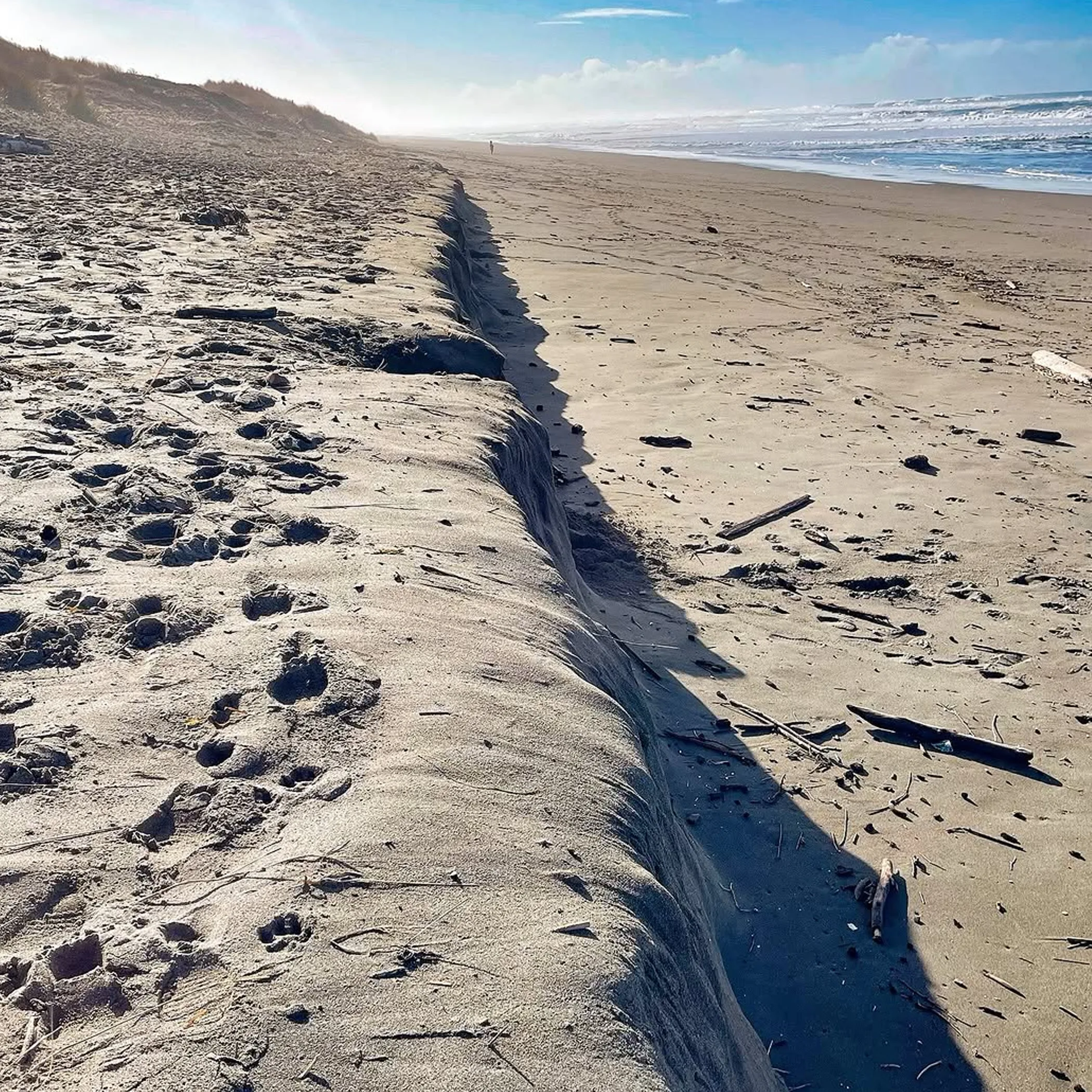 pronounced beach erosion scarp