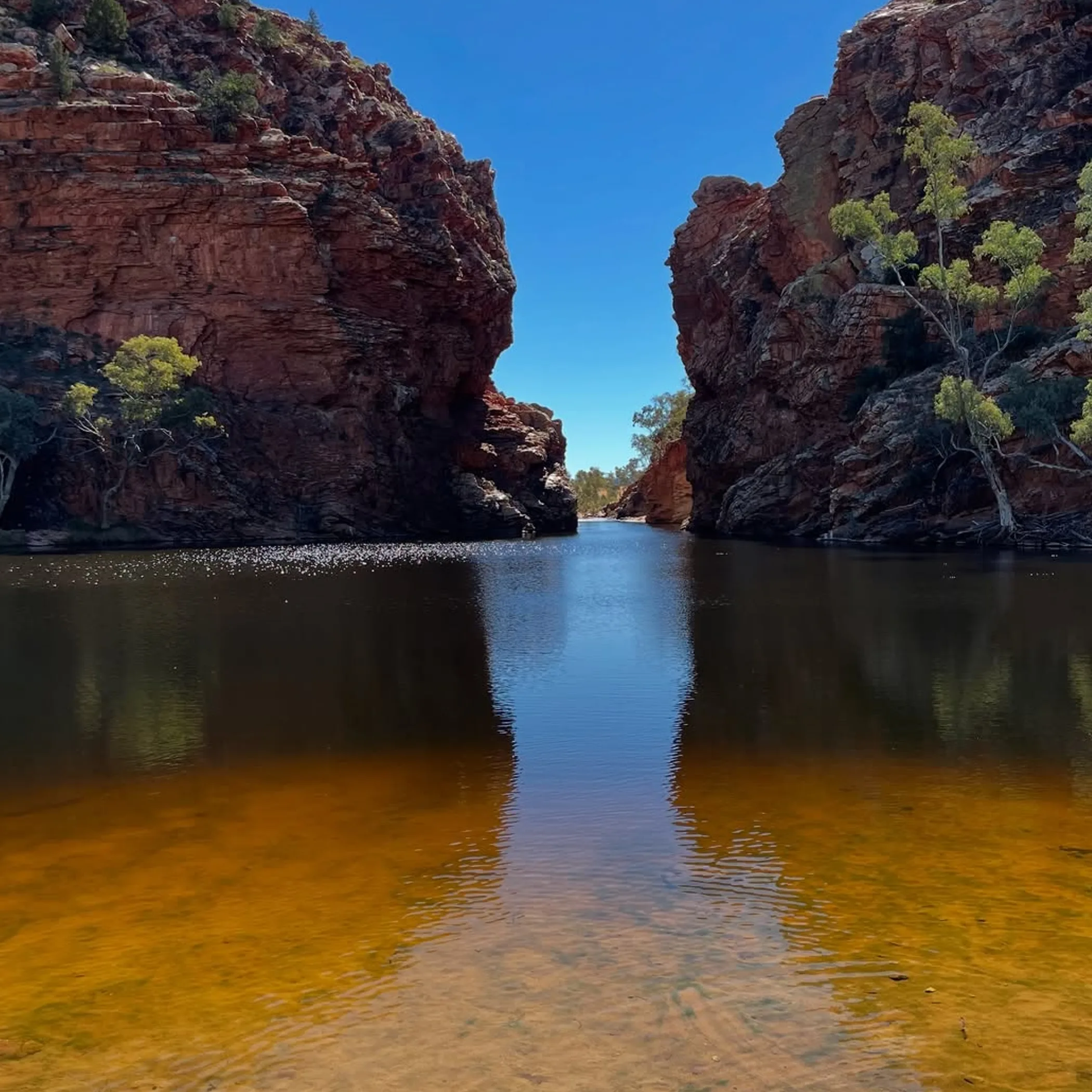 ellery creek big hole