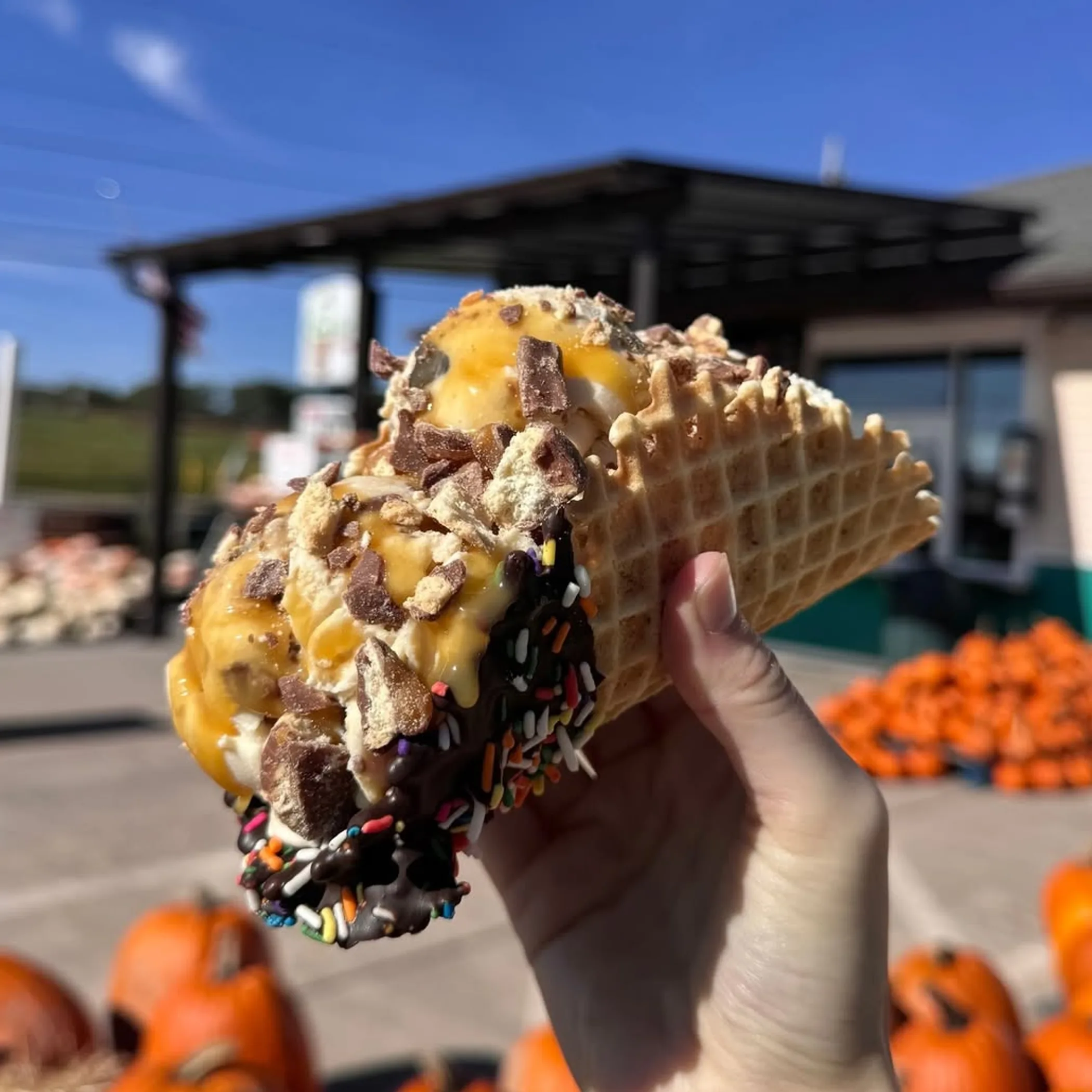 a frozen dessert