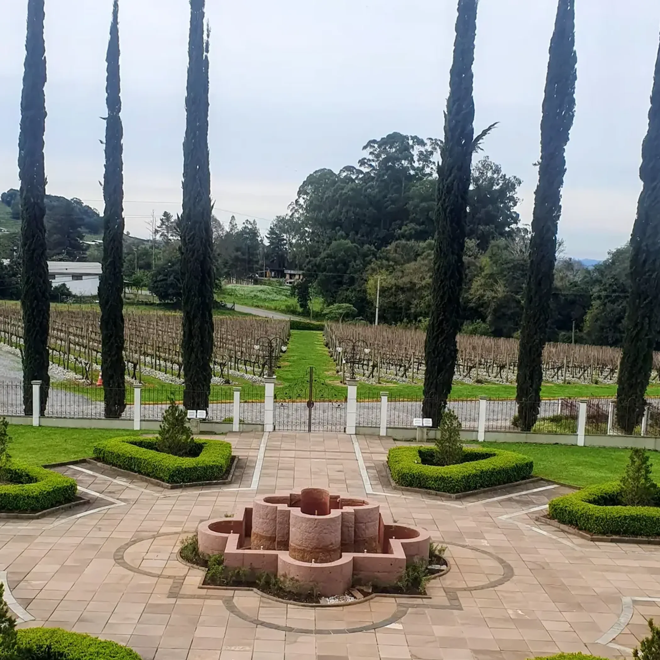 vineyard and landscaped wine tourism setting