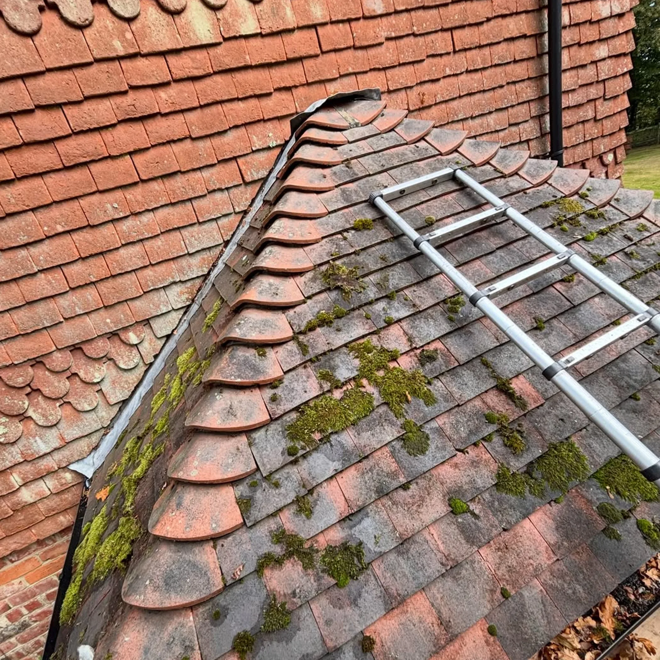 roof maintenance and tile re-bedding