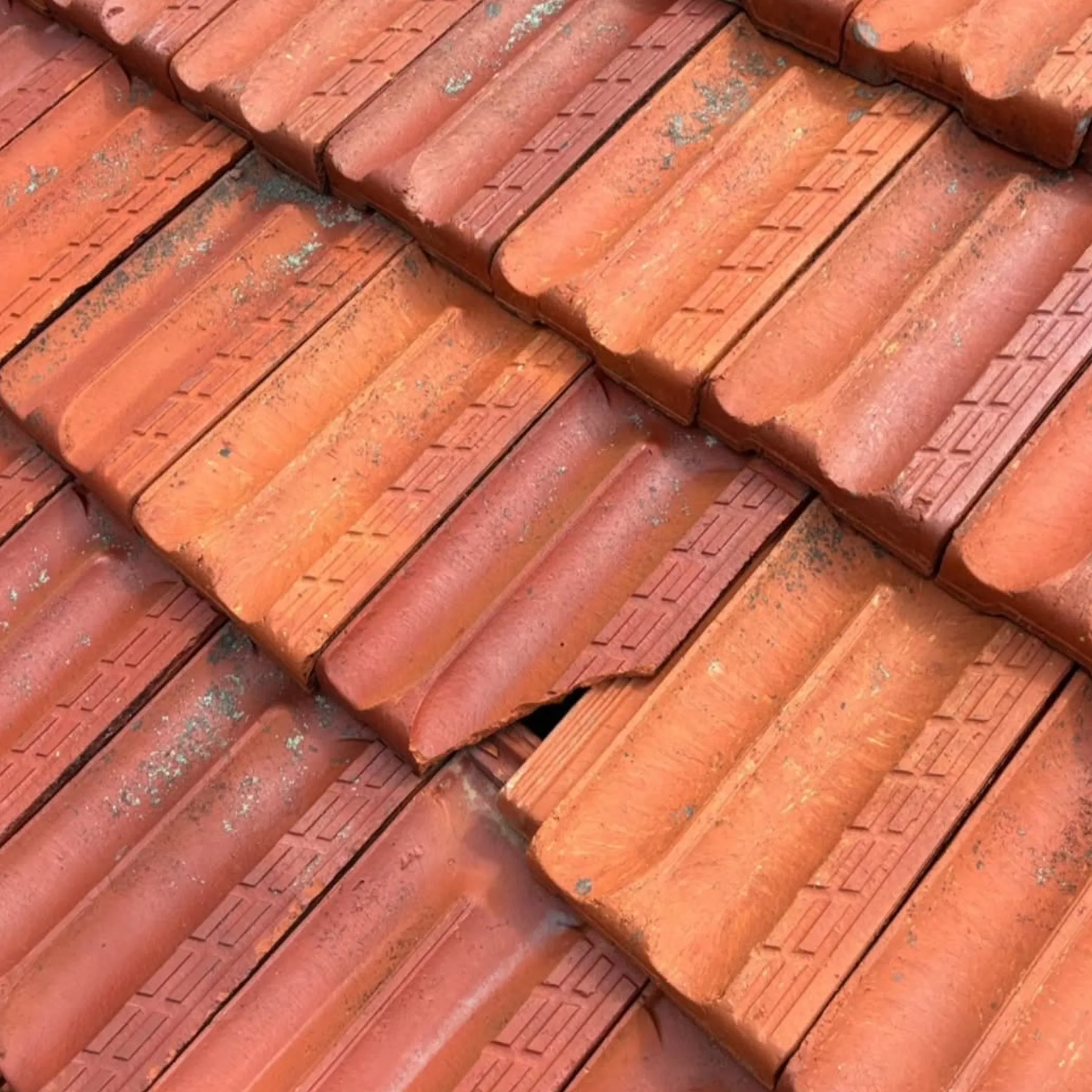 roof for seasonal maintenance
