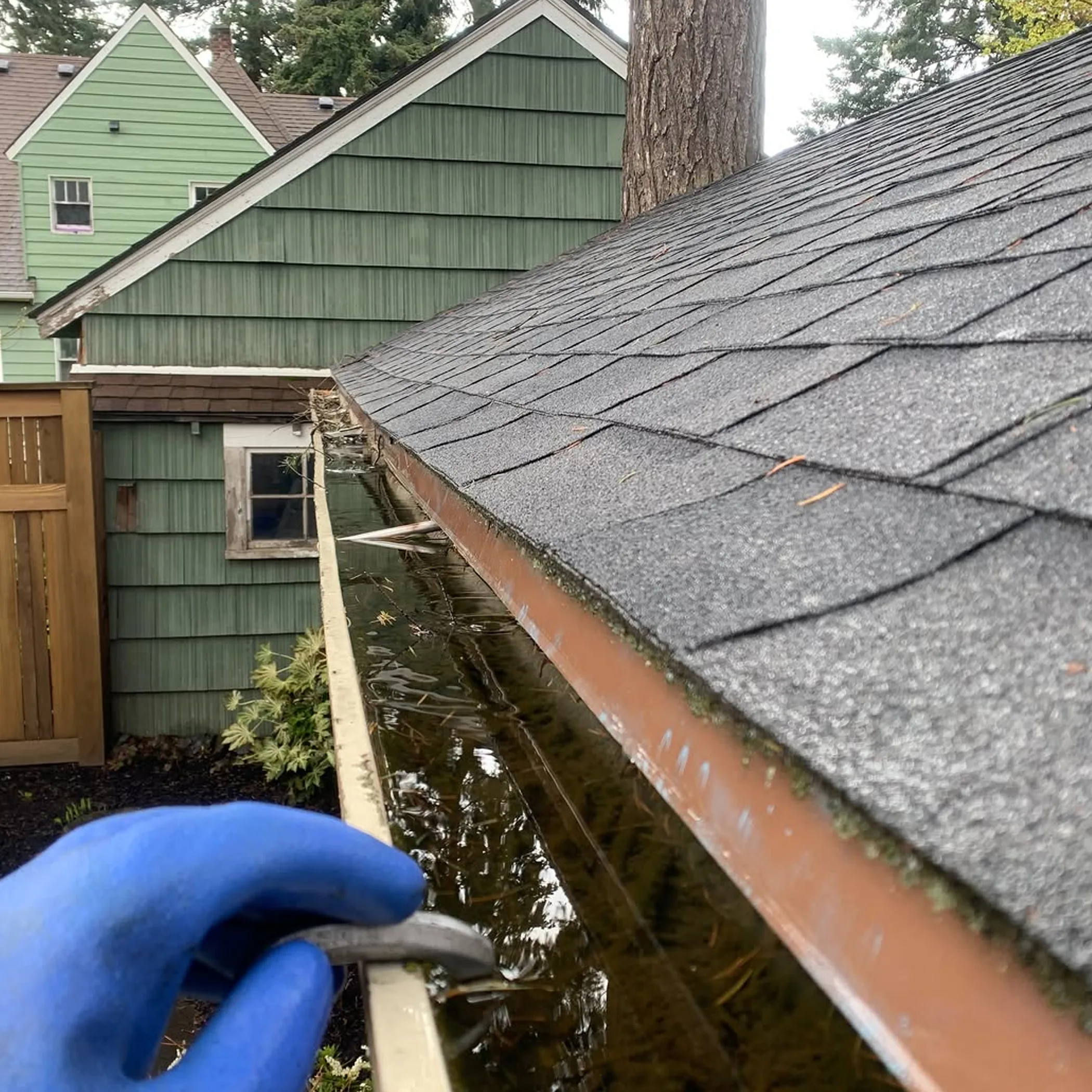 debris-filled gutter with clearing tool