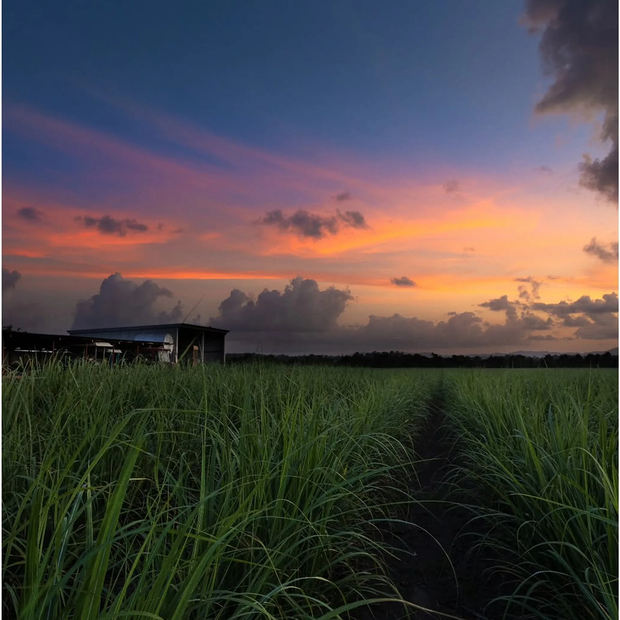australian rural agribusiness farmland