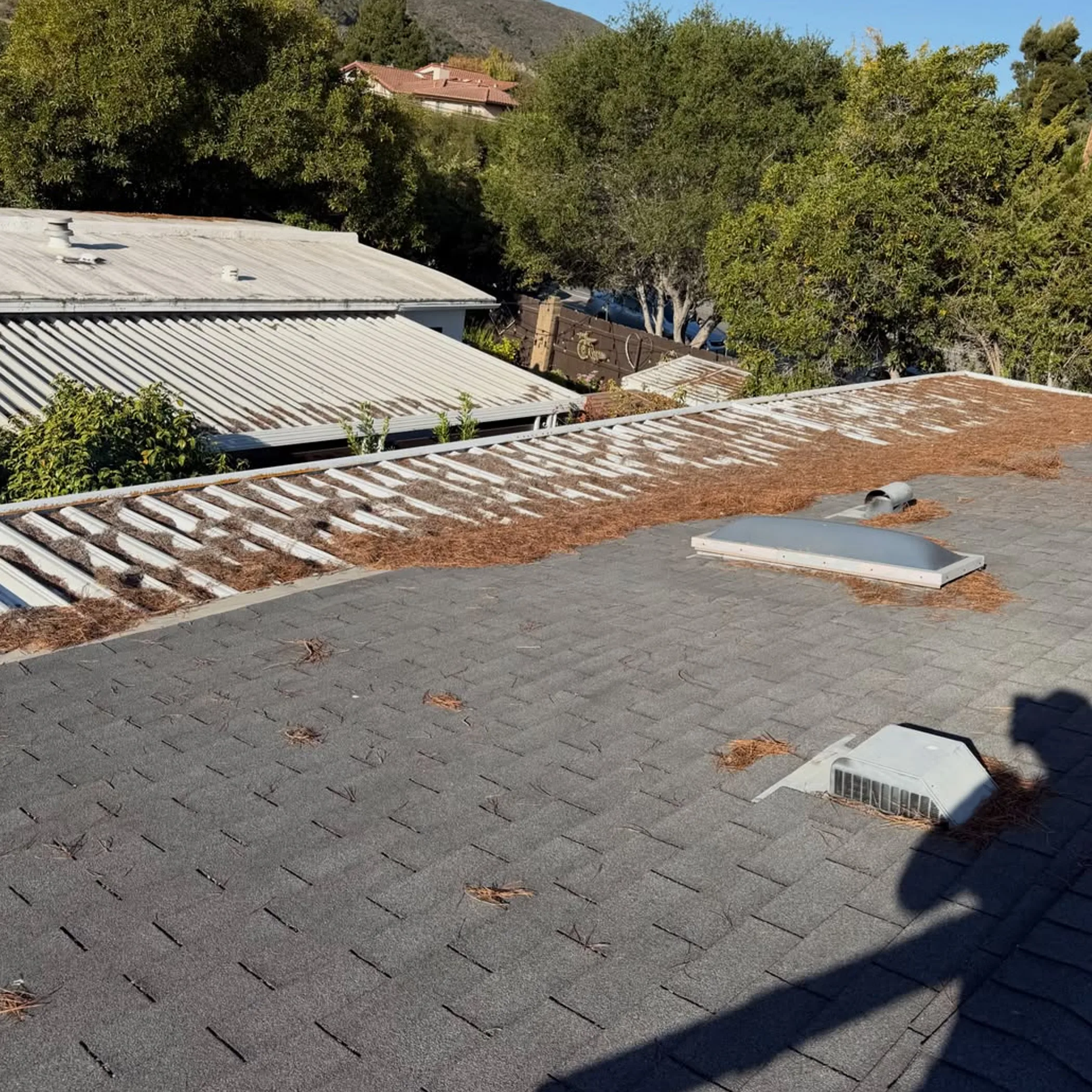 roof debris requiring gutter clearing