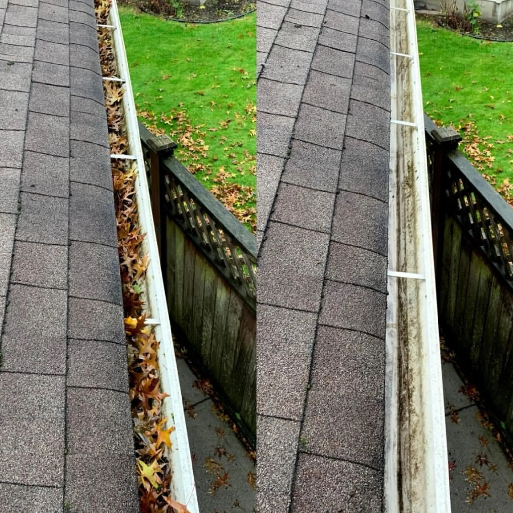 autumn leaves in roof gutters