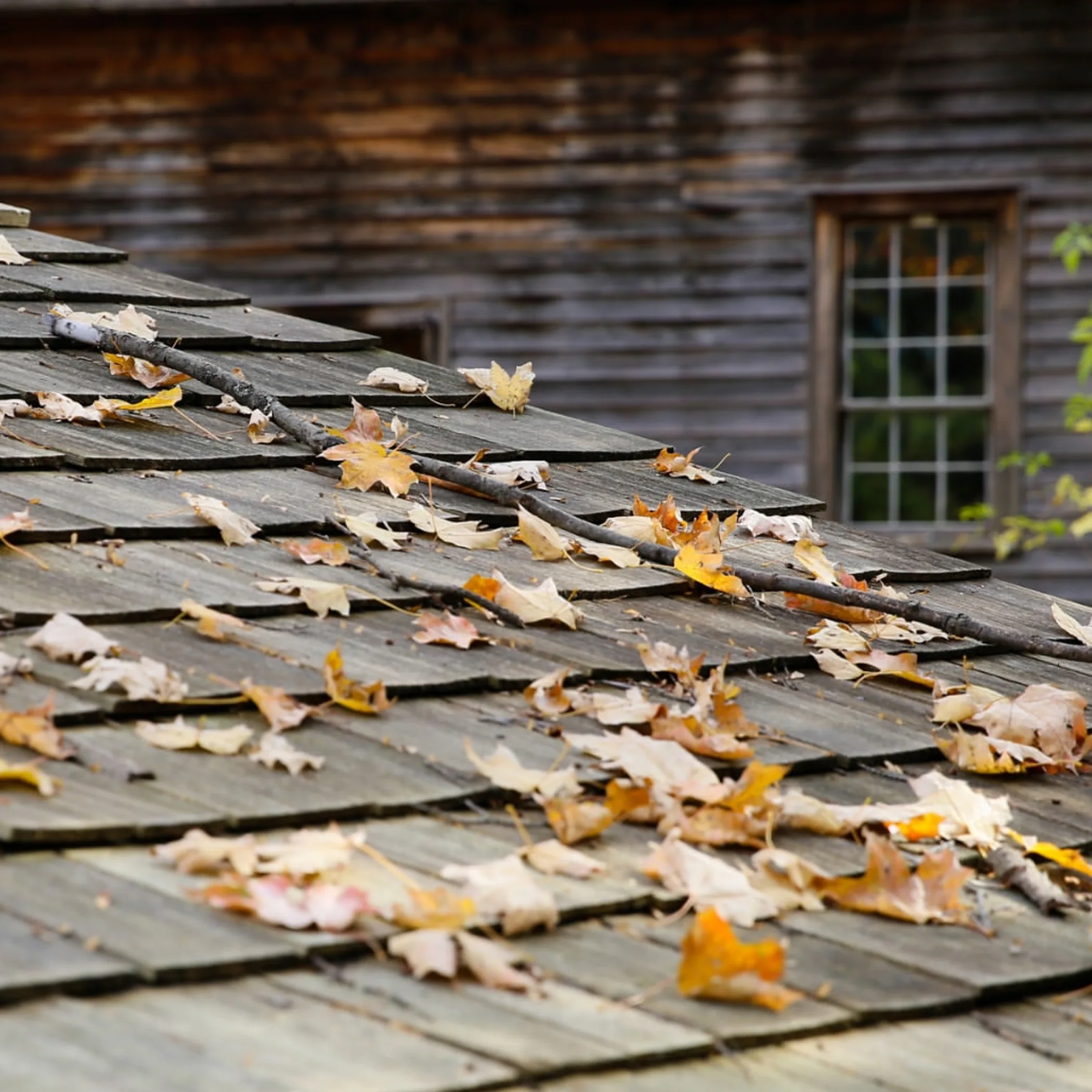 fall roof debris for gutter maintenance