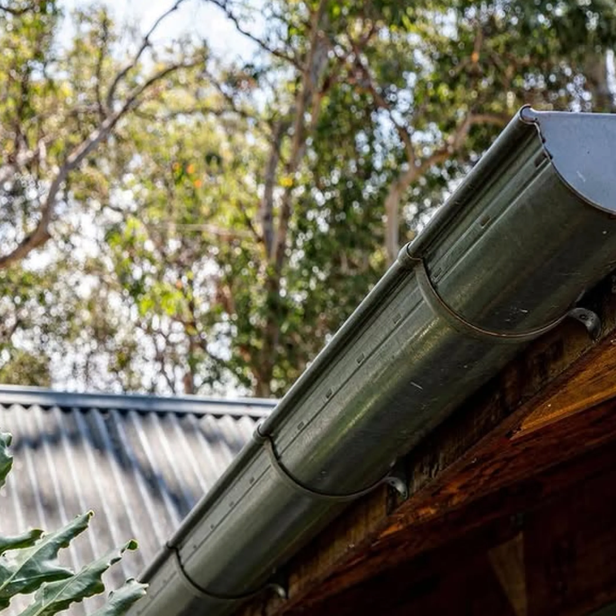 maintained gutter beside an australian home