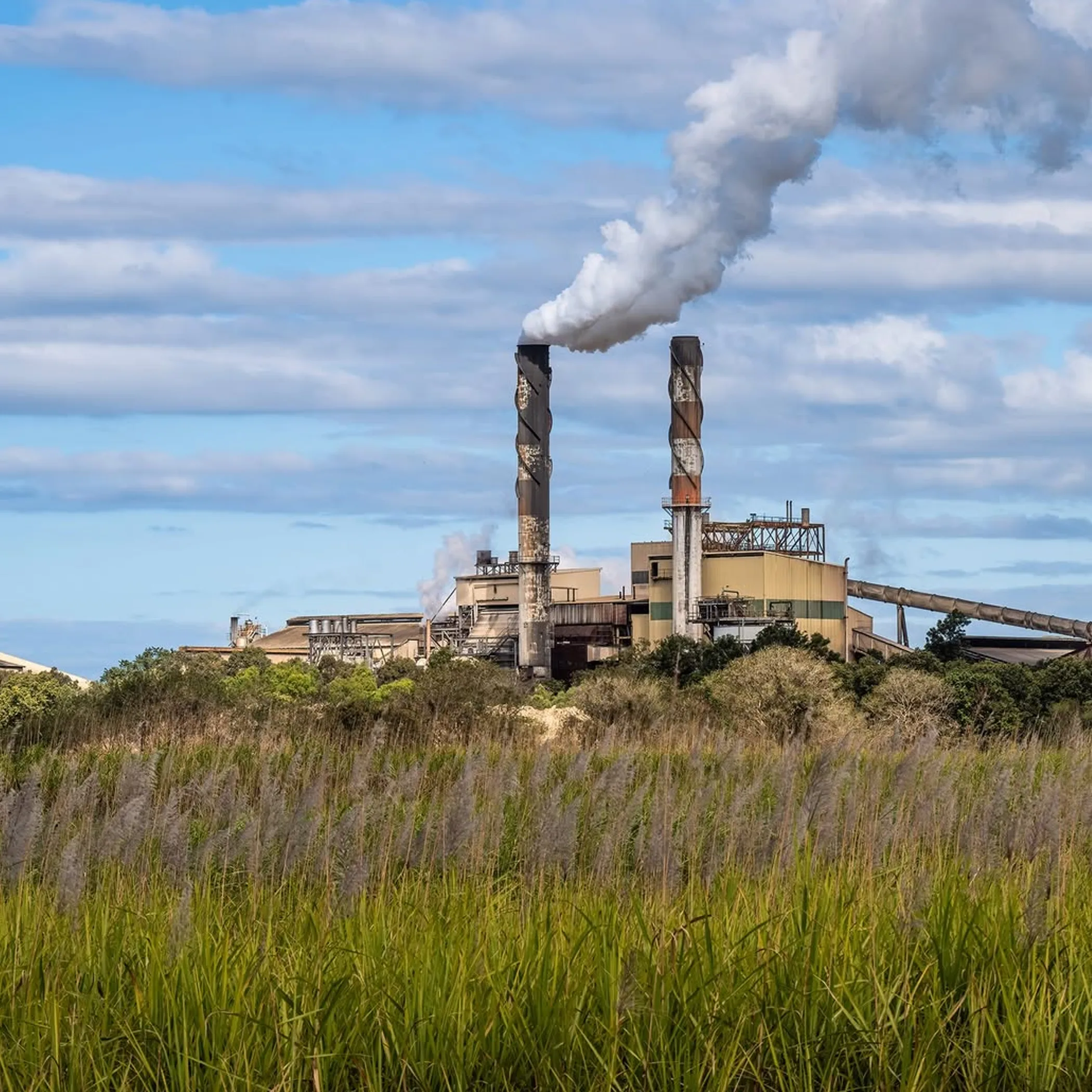 australian sugar agribusiness