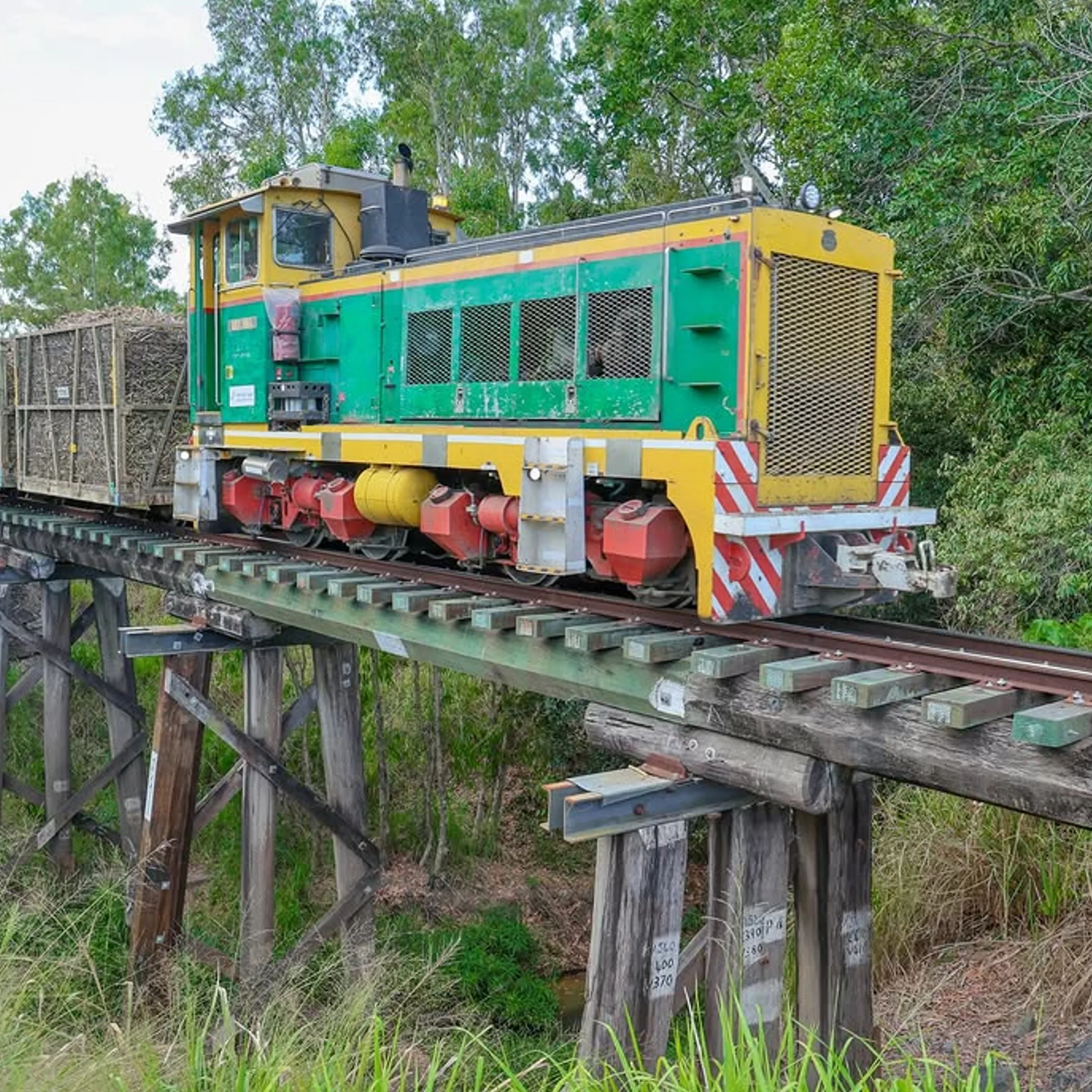 rural sugar cane transport
